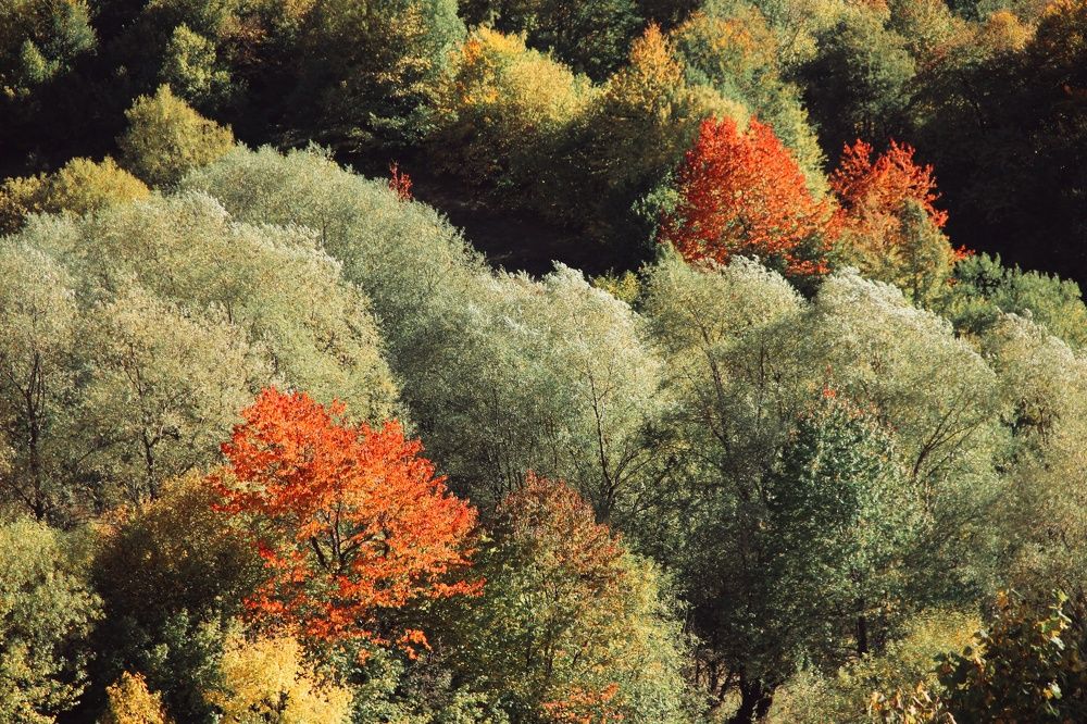 Photograph by Elene Karabaki