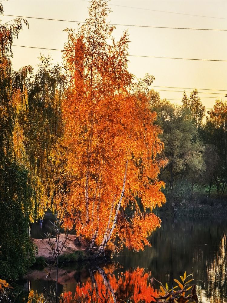 Photograph by Олика