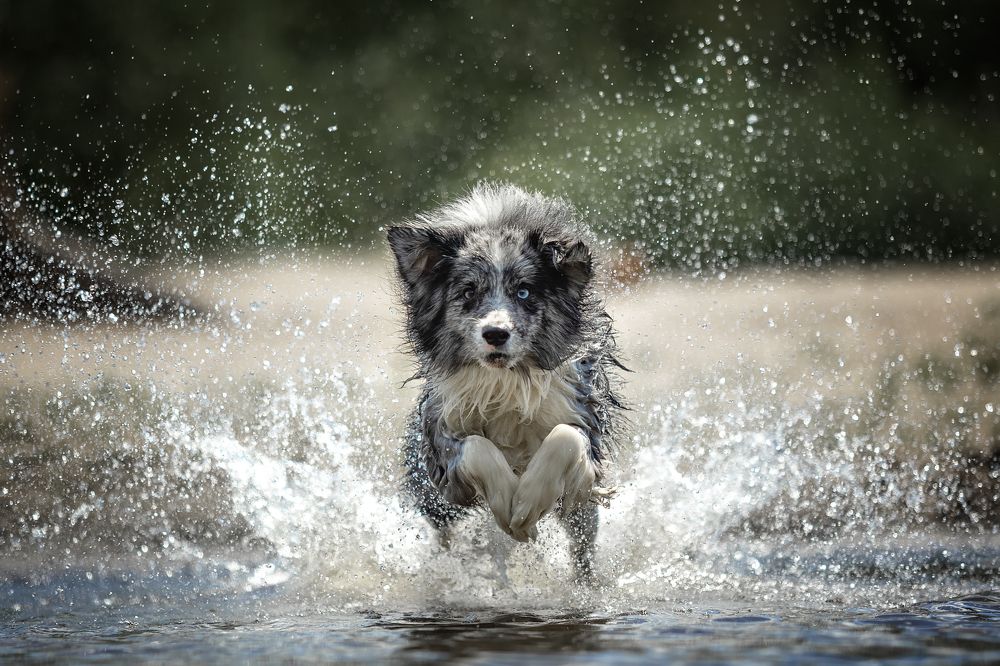 Фотография автора Регина Гущина