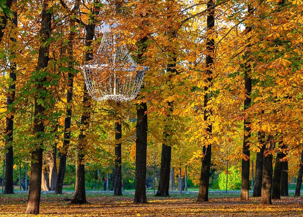 Photograph by juri kutukov