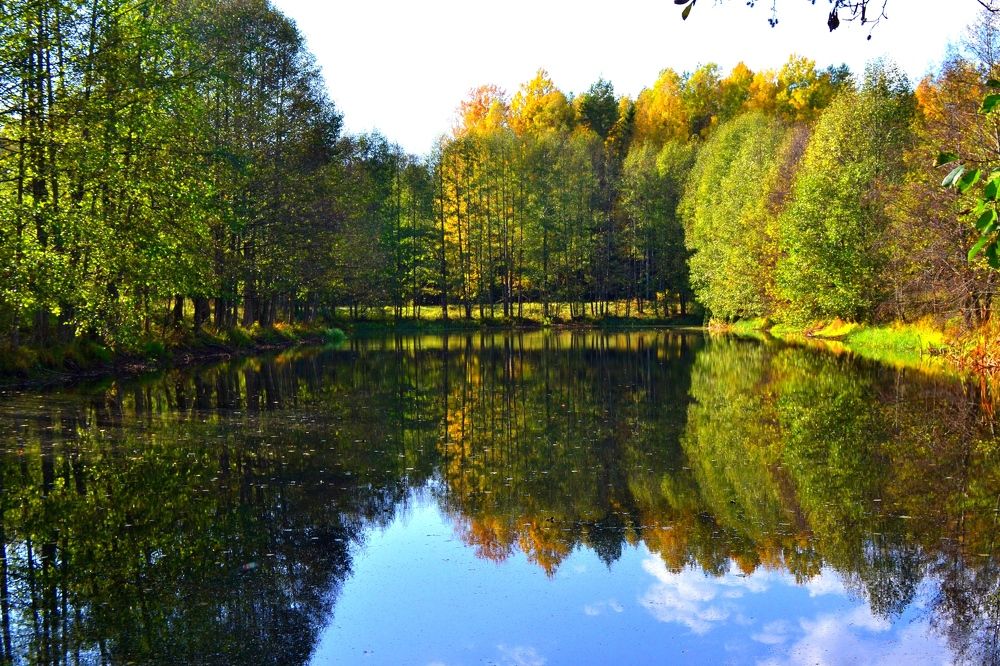 Photograph by Ольга Лещук