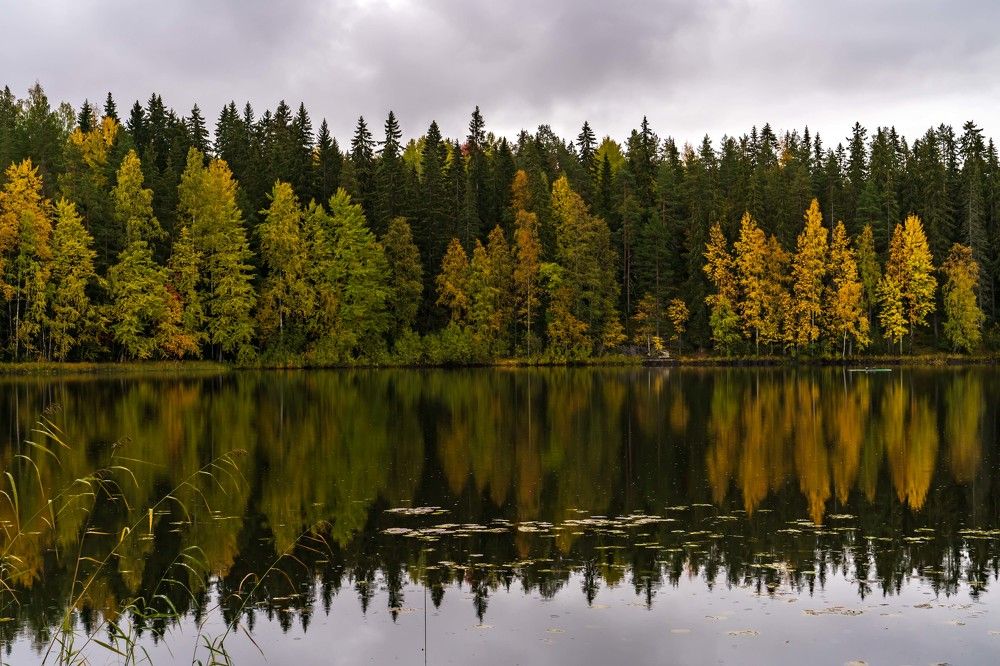 Photograph by Susanna Kari