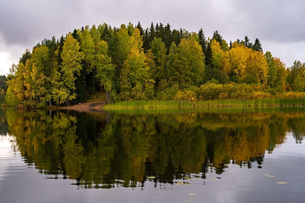 Photograph by Susanna Kari