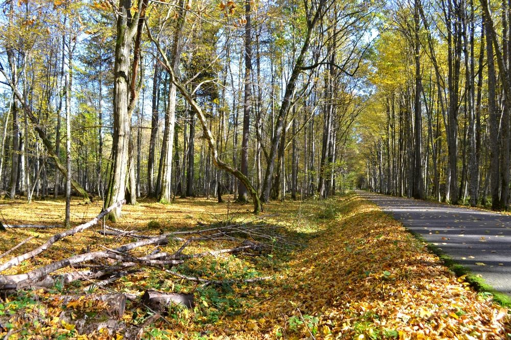 Photograph by Ольга Лещук