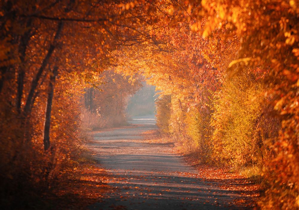 Photograph by Голубев Алексей