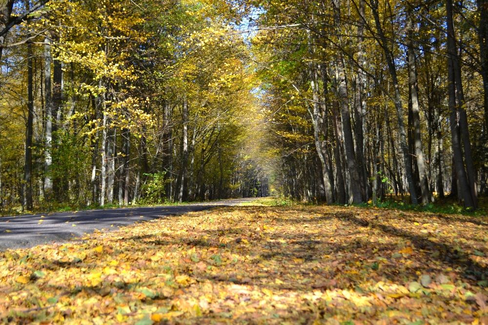 Photograph by Ольга Лещук