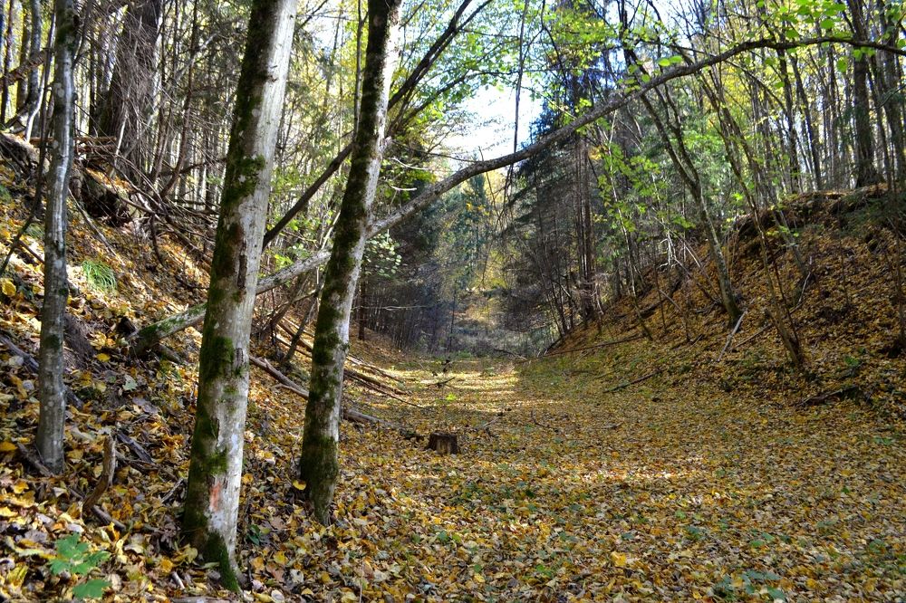 Photograph by Ольга Лещук