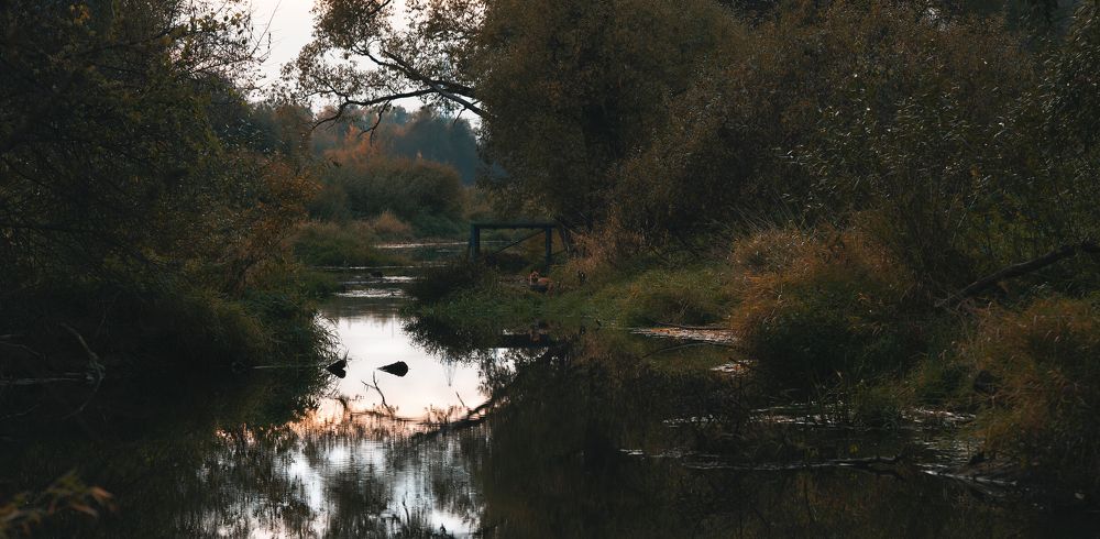 Неожиданная встреча осенним вечером.