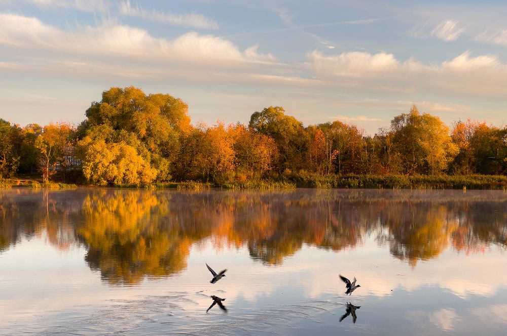 Utrenniaja harmonuja.