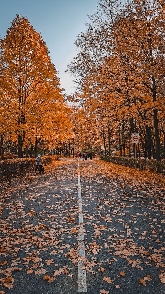 Photograph by Михаил Петров