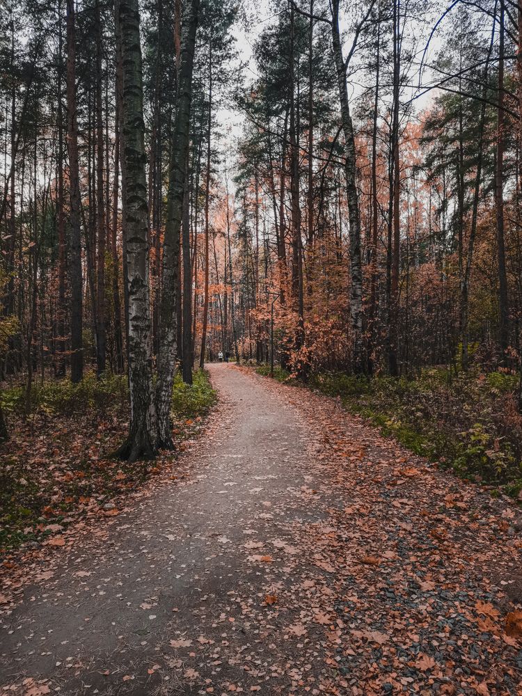 Photograph by Михаил Петров