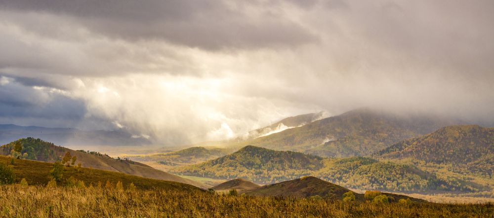 Фотография автора Петр Косачев