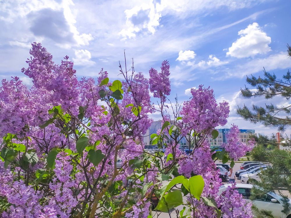 Photograph by Ирина Половцева