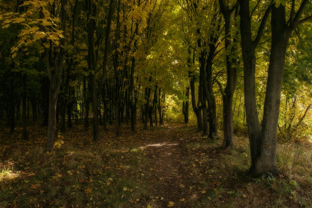 Краски осени