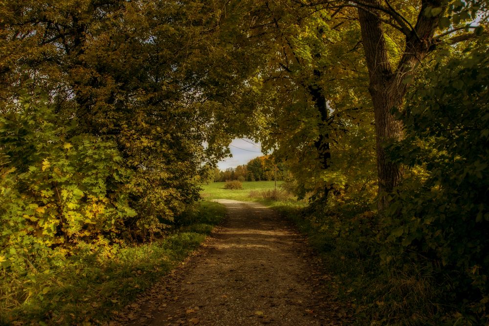 Краски осени