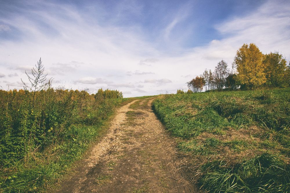 Краски осени