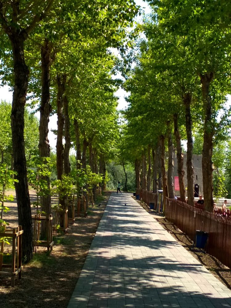 Photograph by Владислав Д