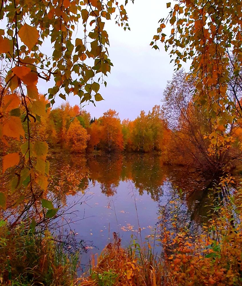 Золотая осень.