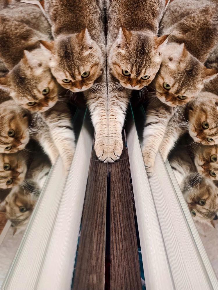 Photograph by Анна Белова