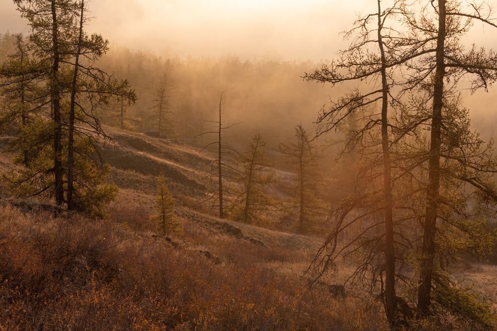 Photograph by Максим Ватрушкин