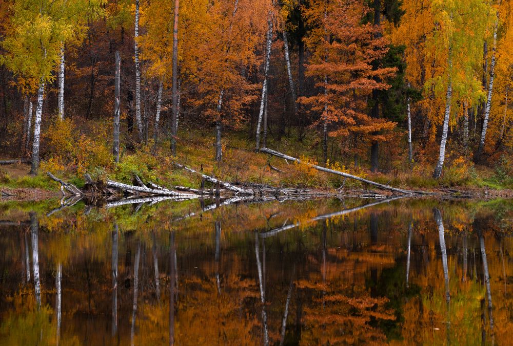 Photograph by Радик Гатауллин