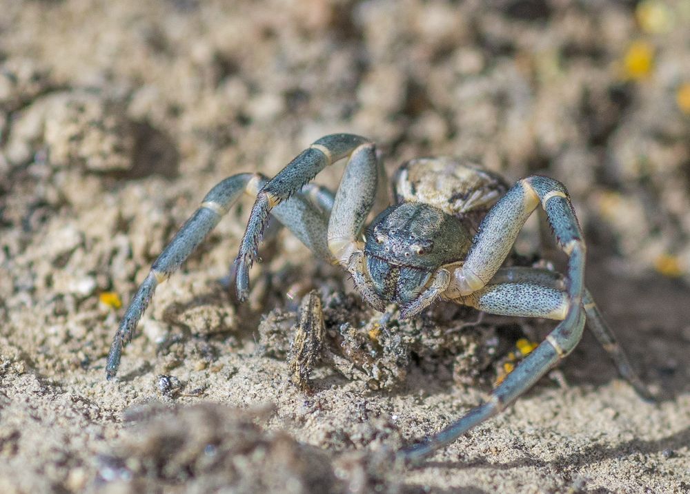 Фотография автора Петр Косачев