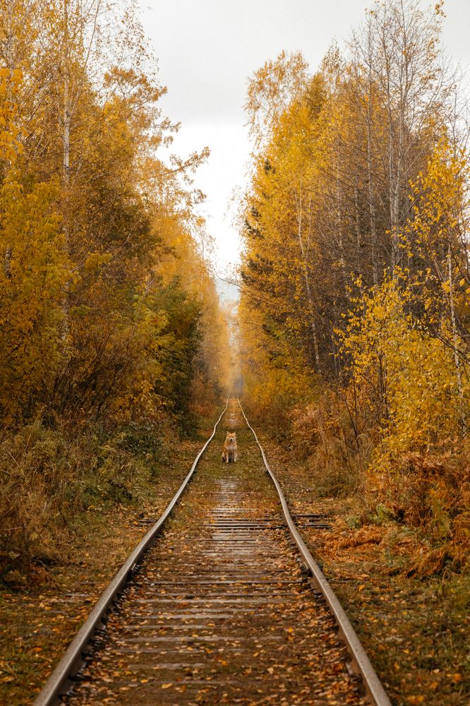 Photograph by Оксана Корчагина