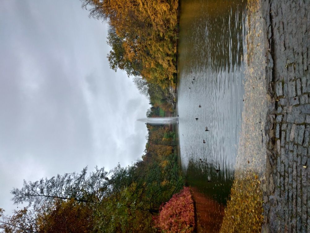 Photo #6572124