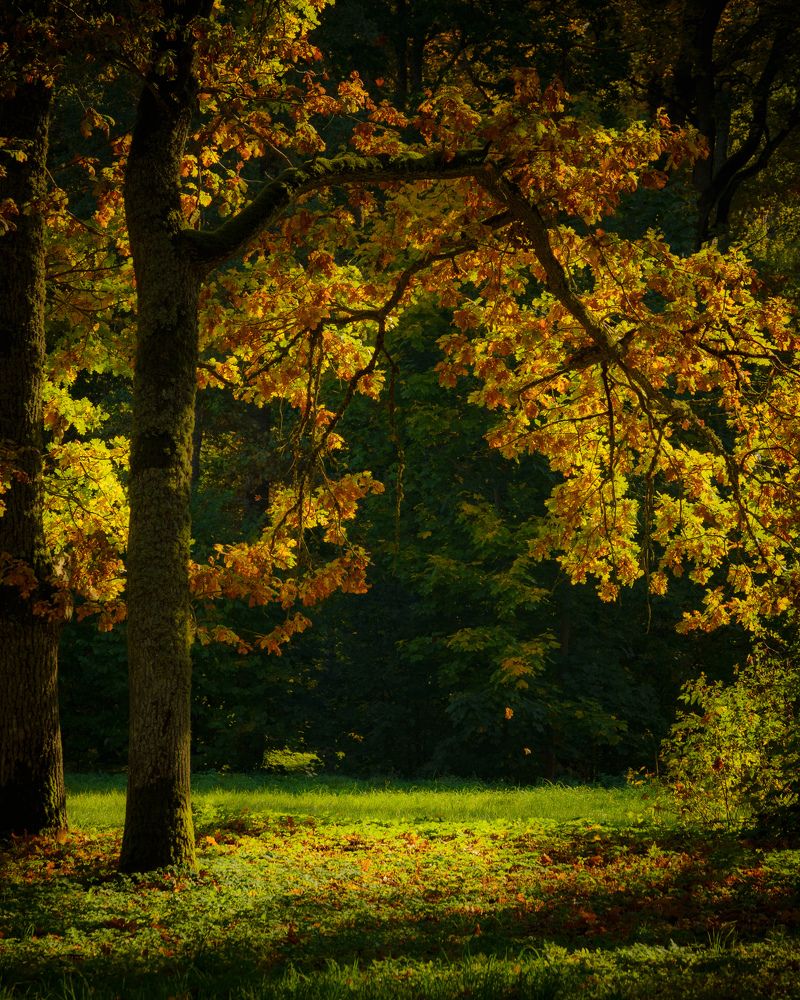 Photograph by Valdis Serzhans