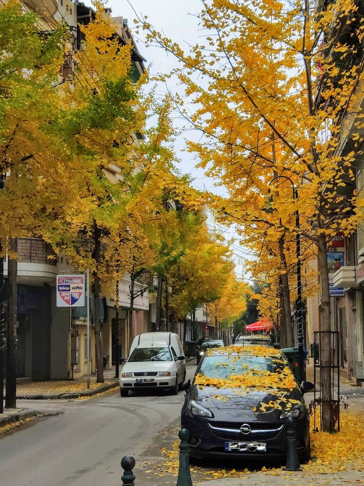 Photograph by Roula Silintzi