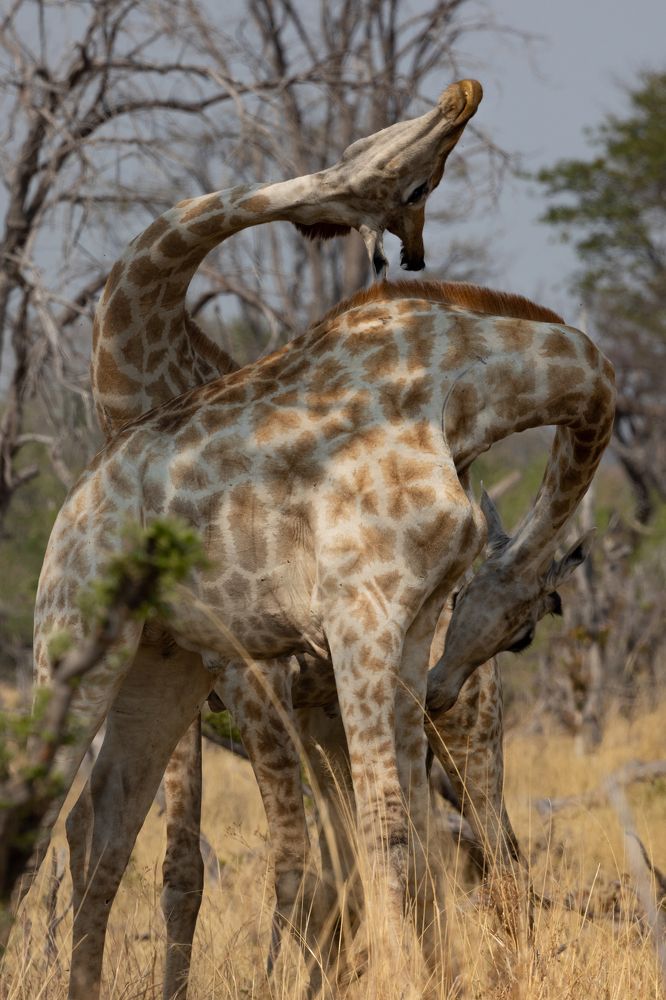 Photograph by Raquel Barao