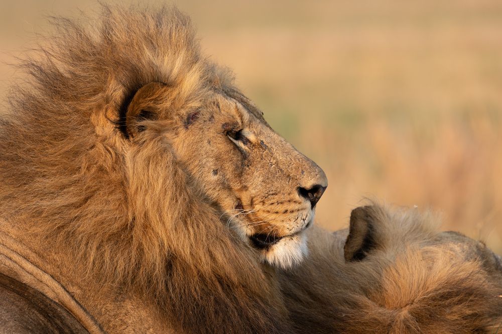 Photograph by Raquel Barao