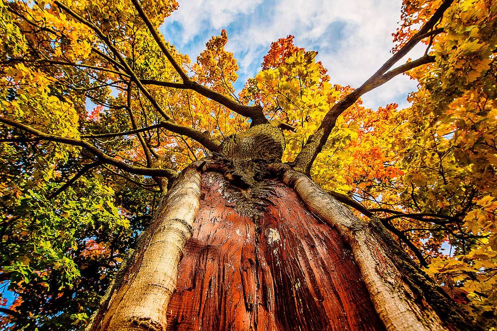 Фотография автора Валерий Невмержицкий