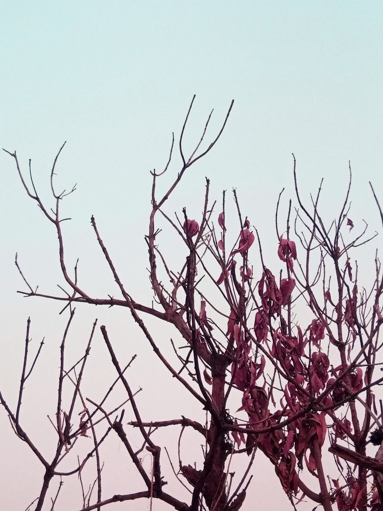 Photograph by Haidar Ali