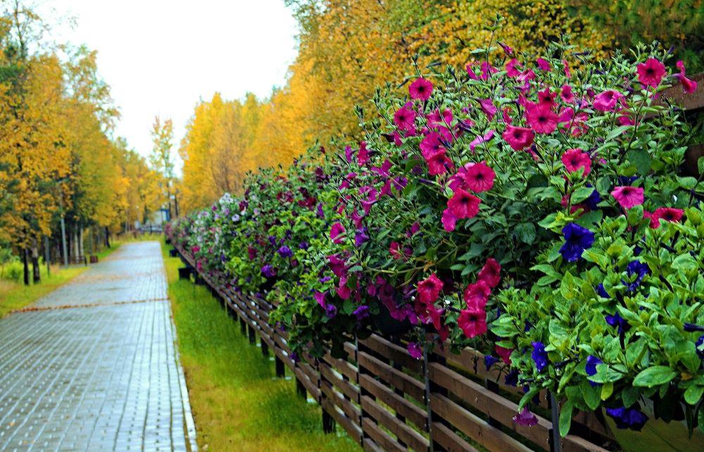 Photograph by Николай Почкалов