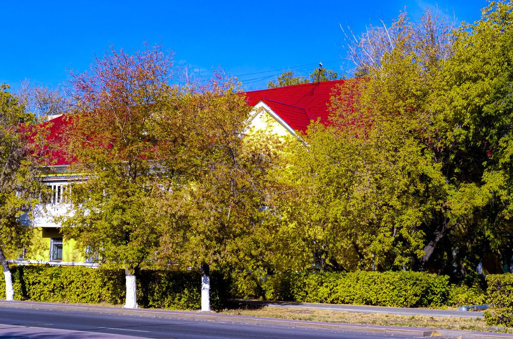 Фотография автора Роман Филатов