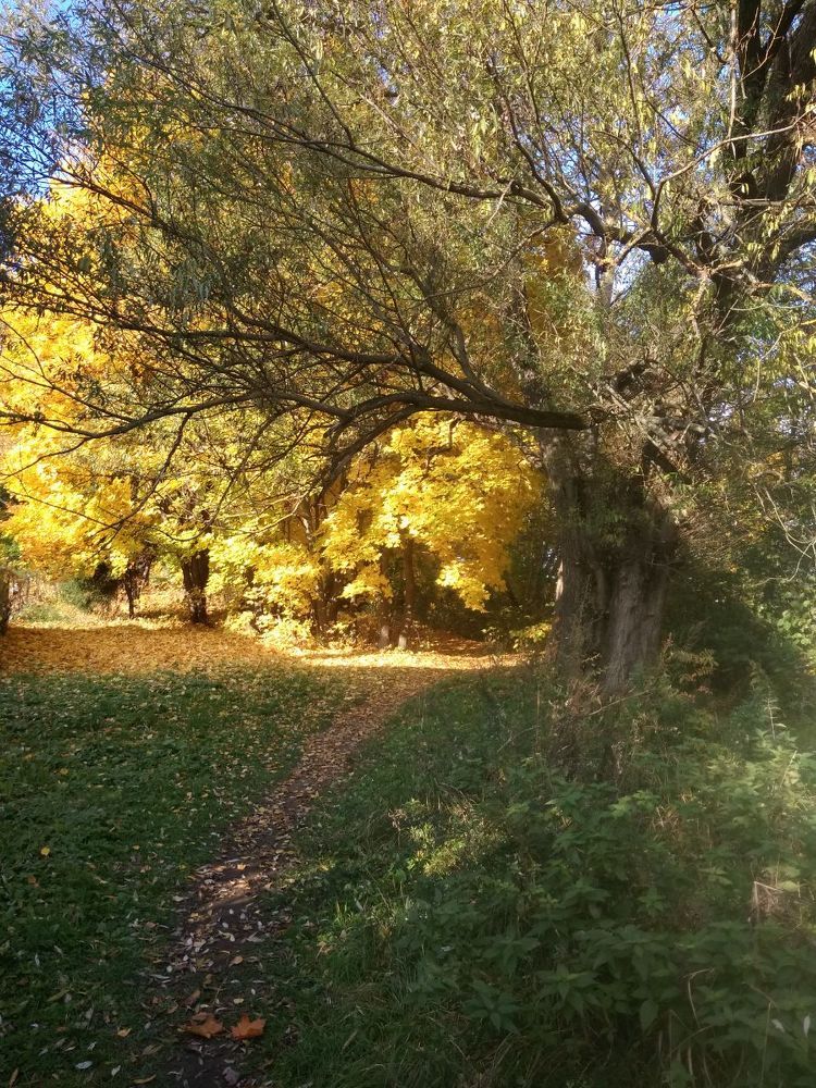 Фотография автора Мария Коледа