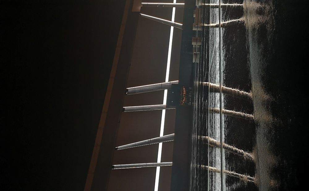 Photograph by Степан Сопегин