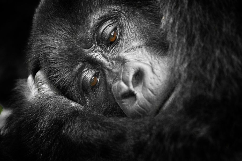 Photograph by Jytte Ferreira