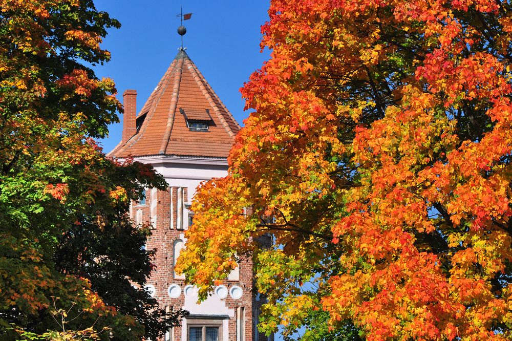 Мирский замок