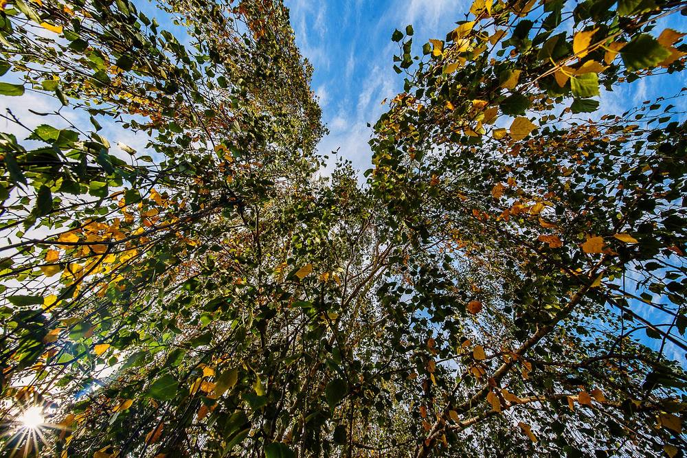 Фотография автора Валерий Невмержицкий