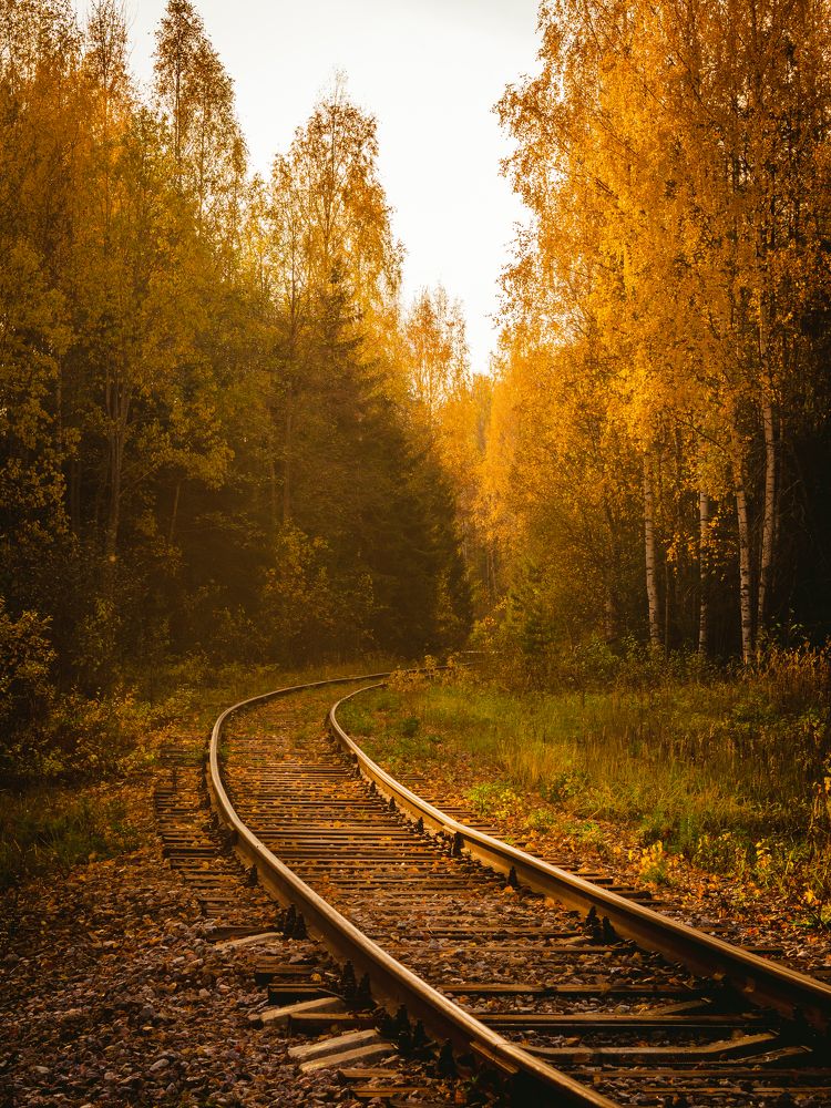 Photograph by Антон