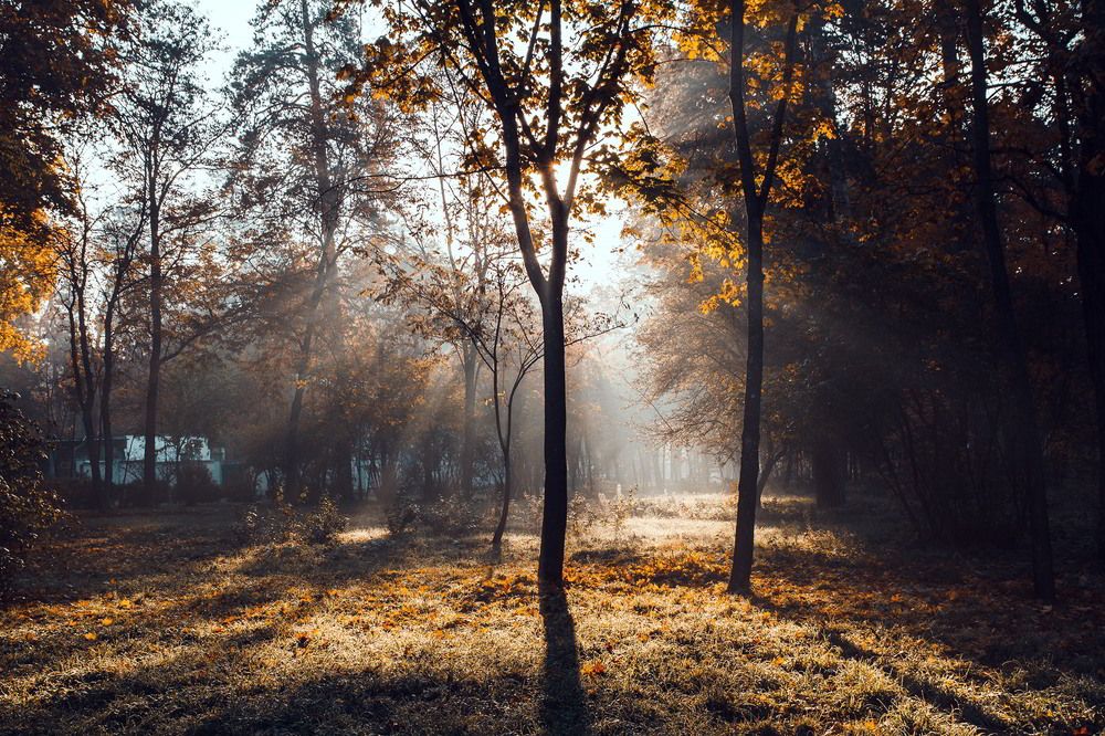 Фотография автора Игорь Хлибович