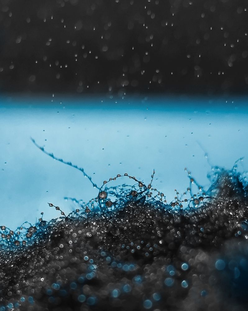 Photograph by Виолетта Афанасьева