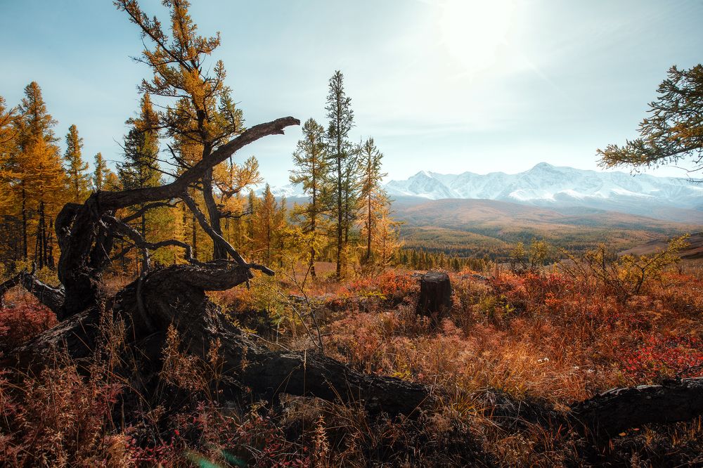 Photograph by Станислав Попов