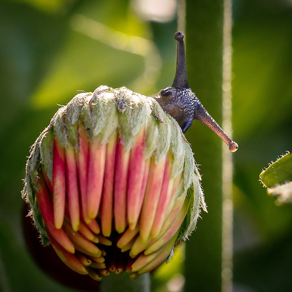 Photograph by Елена Иванова