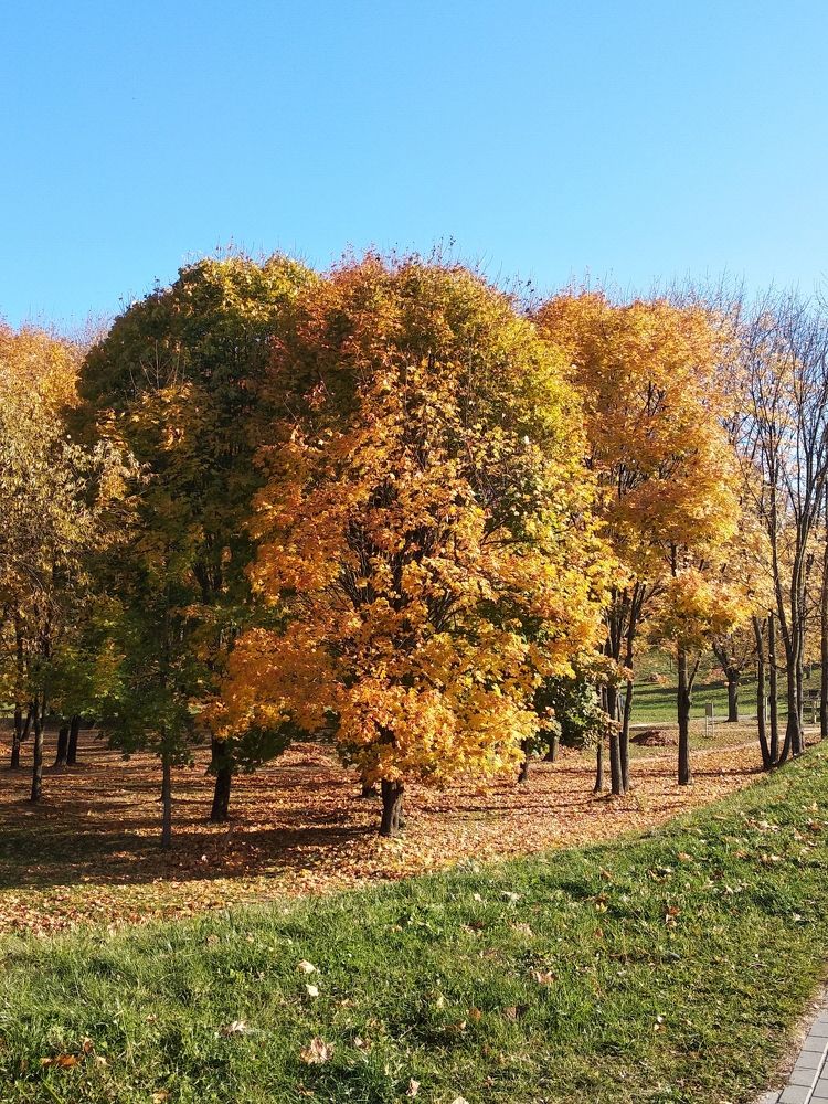 Photograph by Анастасия Ярошевич