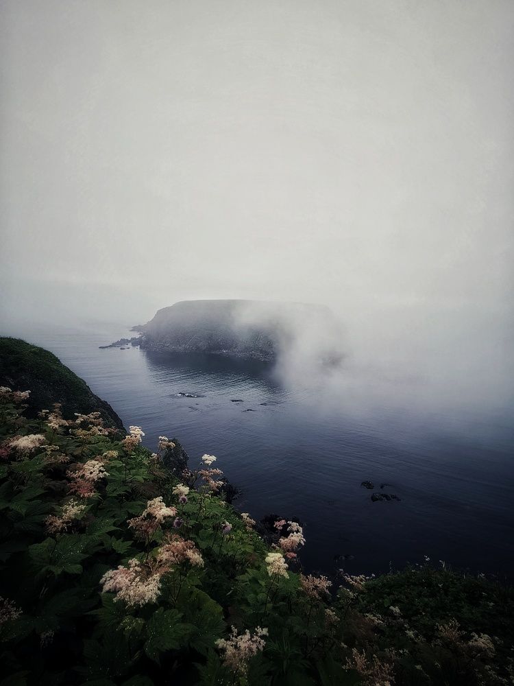 Photograph by Сергей Марков