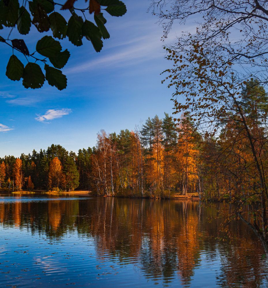 Photograph by Антон