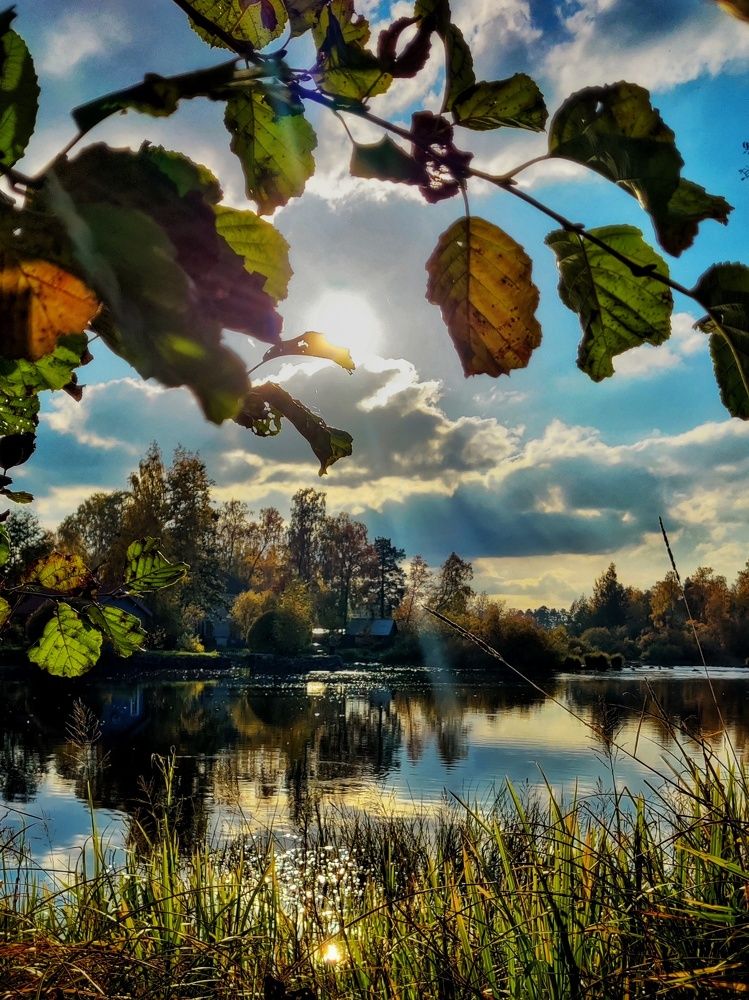 Photograph by Anastasia Uraeva